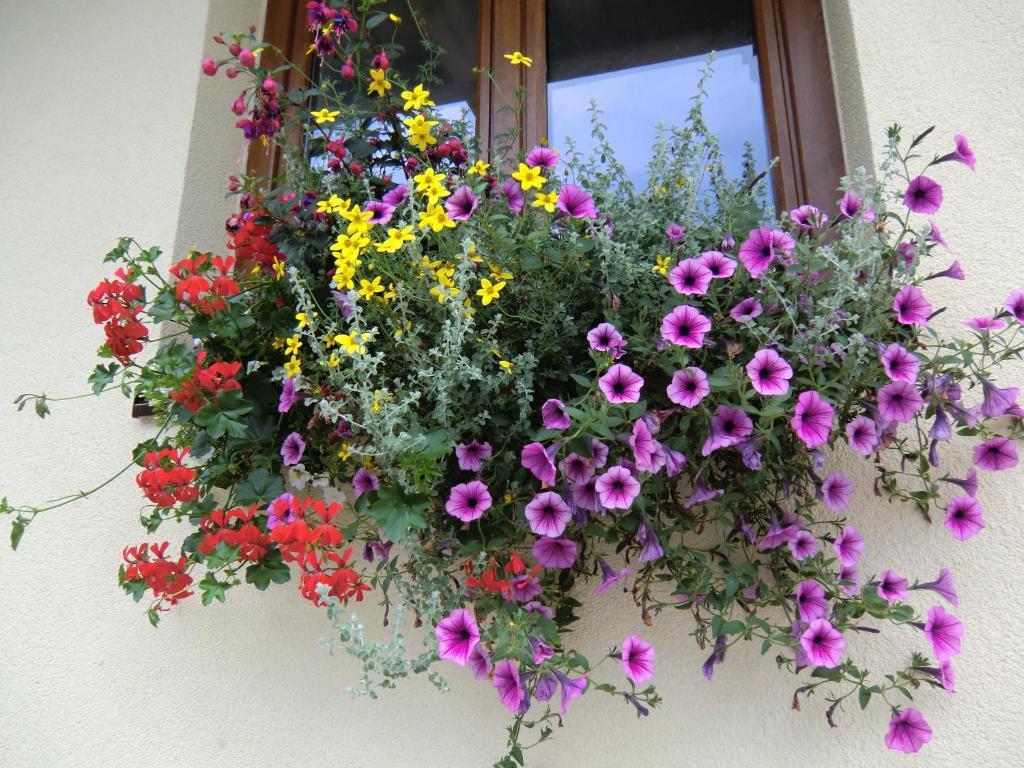 Haus Rye B&B Obertraun Ruang foto